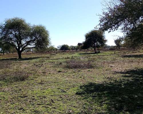 Vendo Campo 23 Has Vera Santa FE Sobre Ruta 3 (toba)