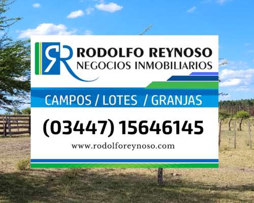 85 HA. Agrícolas en Cnia. Elía. Entre Ríos