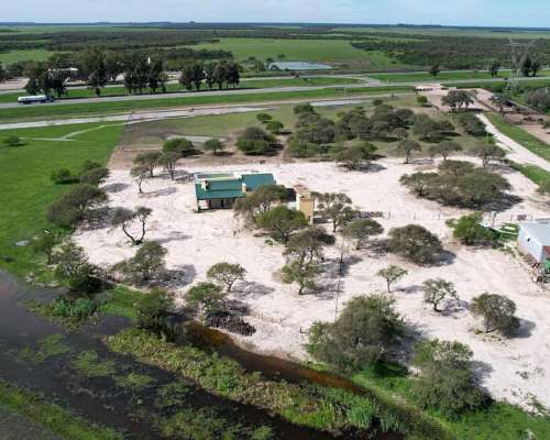 Ceibas, Gualeguaychú, Entre Ríos - 1.000 Ha