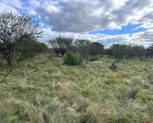 20,5 Ha Campo. con Casco. Buen Estado. Precio Inmejorable