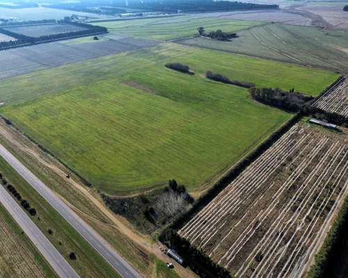 Campo Sobre Ruta 9