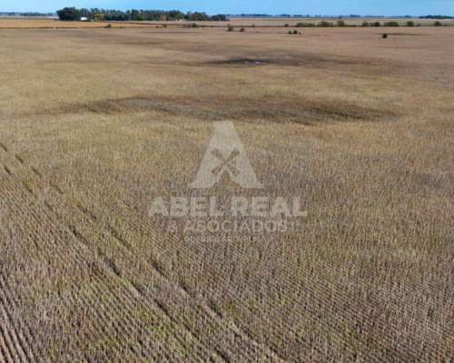 30 Ha Bermúdez Prov. de Buenos Aires