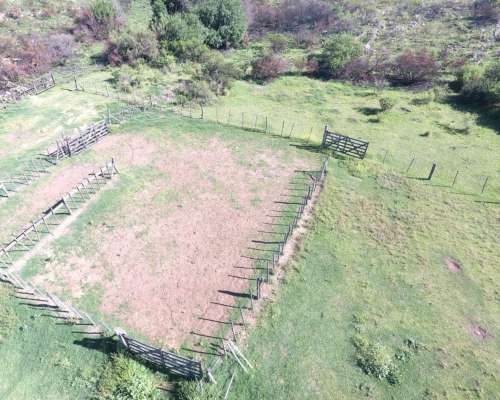 Coronel Pringles -456 HA- San Luis