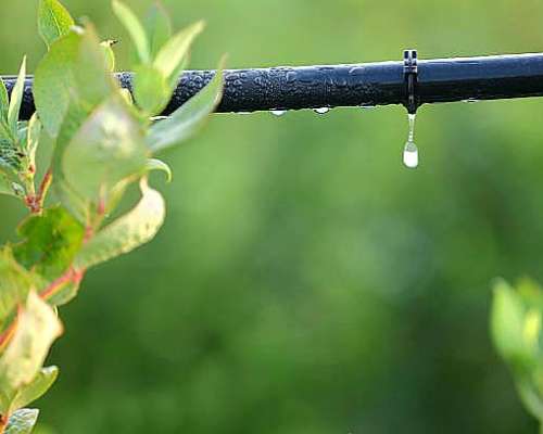 Sistemas de Riego Agricolas por Aspersion y Goteo