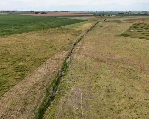 Campo Arequito. 89 Has