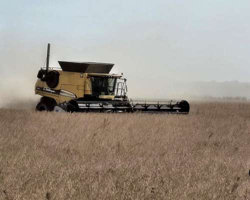 Cosechadora Challenger 680 B 2013 Excelente Estado