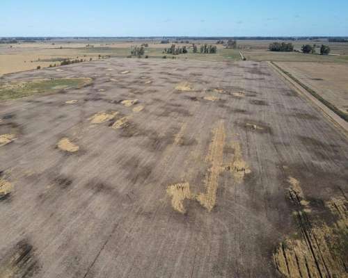 Campo en Venta de 178 Has en las Heras. Agricola