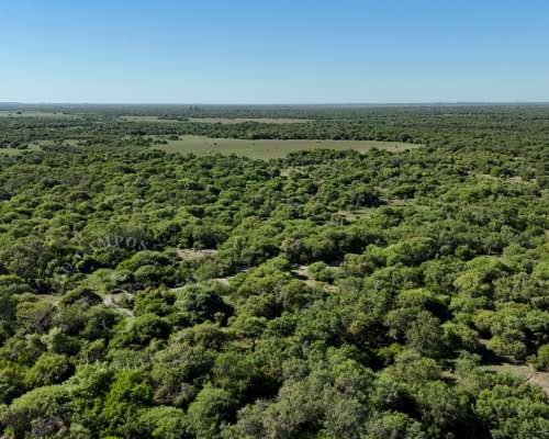 Venta Campo San Cristóbal, Santa FE. 1.280 HA.