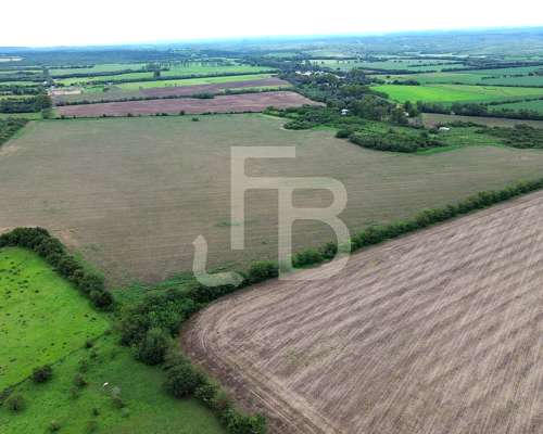 Campo Agrícola 35 Has, Cañada de Río Pinto. Escritura