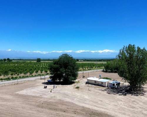 Finca en Venta 30 Ha / las Pintadas - Tunuyán