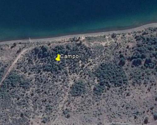 Campo Agreste con Costa del Lago Lezama-cholila-chubut