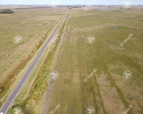 Campo en Venta de 1420 Has en Azul. Ganadero