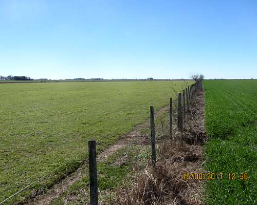 Santa Teresa - 178 Ha - Santa FE