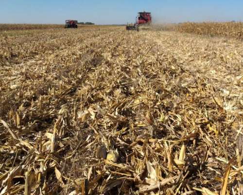 Campo Mixto 1500 Has. en Obispo Trejo, Cordoba