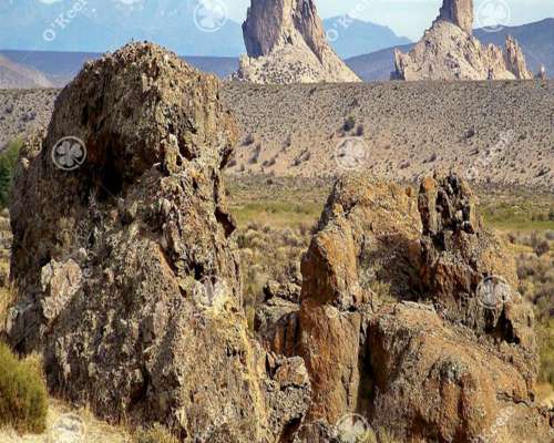 Campo en Venta 9000 Has en Esquel, Chubut. Ganadero.