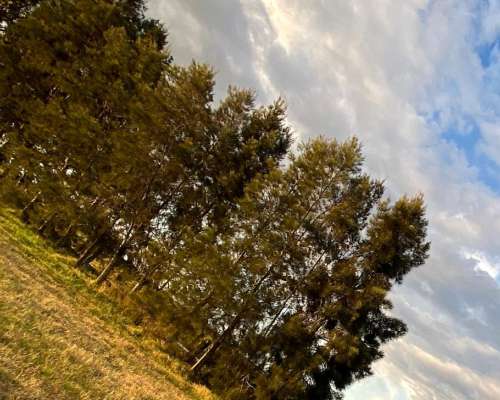 Campo Venta en Uruguay. Paysandú