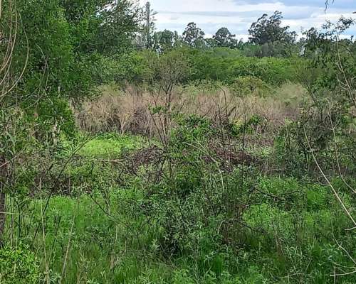 10 Hectareas de Chacra