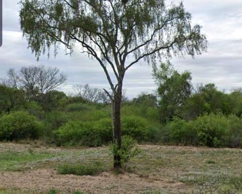 Remato Campo en Santiago
