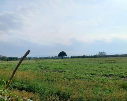 Hectareas Agricolas en Tafi Viejo Tucuman