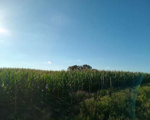 Venta 29,5 Ha Agrícolas en Capilla de Sitón