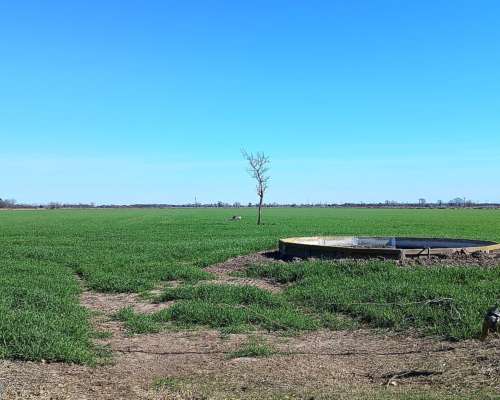 Venta de Campo Agricola