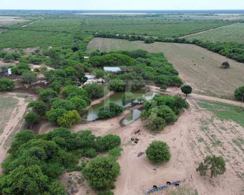 Campo Mixto en Venta- 987 Ha Zona Cruz del Eje