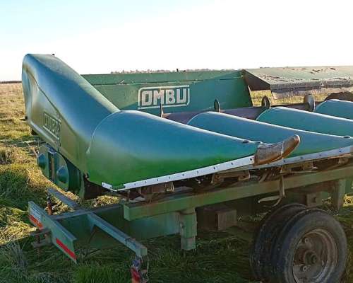 Maicero Ombu 11 a 52