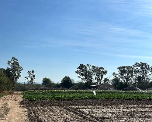Campo en Venta 27ha. San Pedro,villa Dolores.
