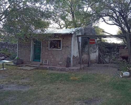 Saladillo 108 Has S/ Asfalto