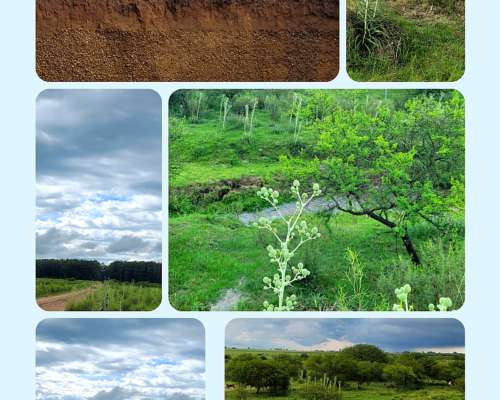 37.5 HA. Cantera. Dto. Colón, Entre Ríos