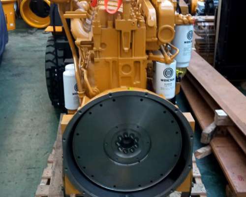 Motor Weichai WD10 Nuevo