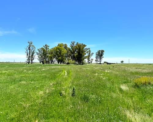 Excelente Campo de 127 Ha Sobre RN 226 Zona Carlos Tejedor