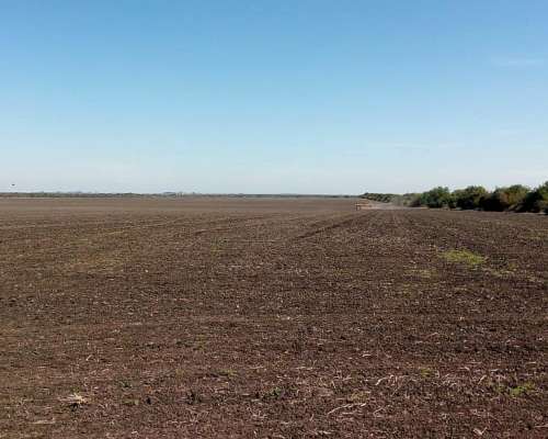 Recibo Hacienda en Capitalización