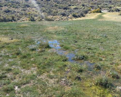 Estancia en Rio Mayo. 7345 HA. Chubut