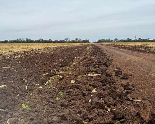 Vendo 3000 Ha Agricolas las Lajitas