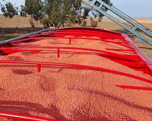 Tolva Autodesc. Semillera y Fertiliz 23lts Ayrton Trailers