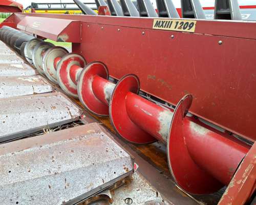 Maicero - Maizco de 12 a 52,5 cm - año 2012 (emb Vassalli)