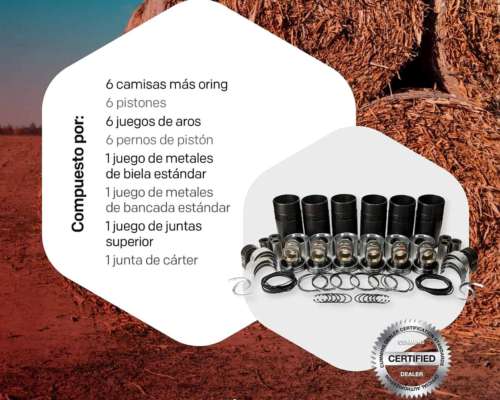 Kit Reparacion Overhaul Cummins