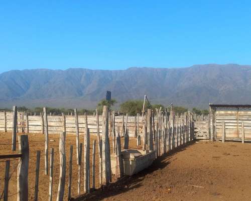 Campo Agricola Ganadero Ferlot en Catamarca