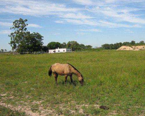 Campo en Formosa 2000 Ha Mejoras Completas , 25 % Menos .