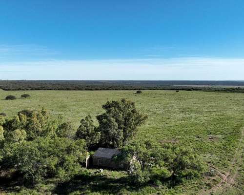 3780 Has. Campo Mixto S/ Ruta en Alpachiri, la Pampa