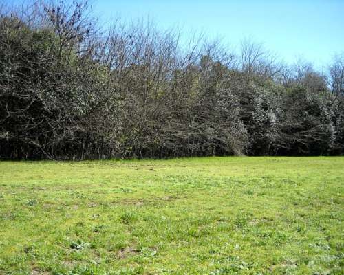 436 Has. en Venta - Santa Lucia, San Pedro - Buenos Aires.