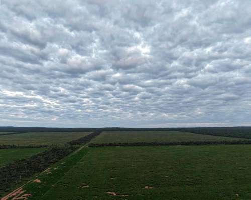 Pcia. de Salta - la Estrella 2125 Ha