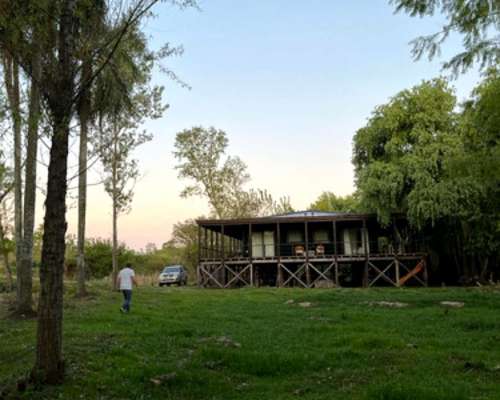 Campo Isla, en el Delta Entrerriano. Ganadero Forestal