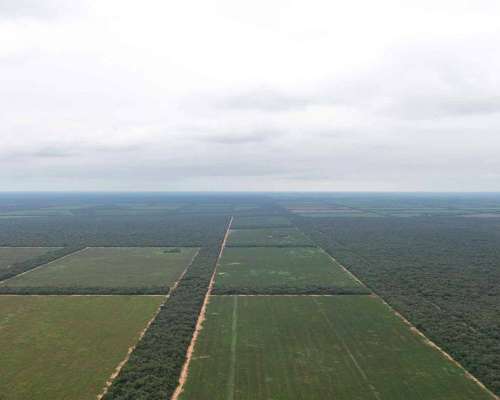 Pcia. de Salta - las Maravillas 2889 Has