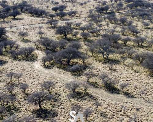 Vende: Hermoso Coto de Caza en la Pampa