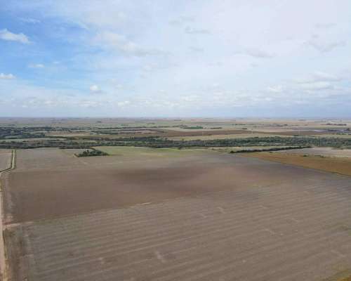 Pcia. de Cordoba - Lozada 72 Ha