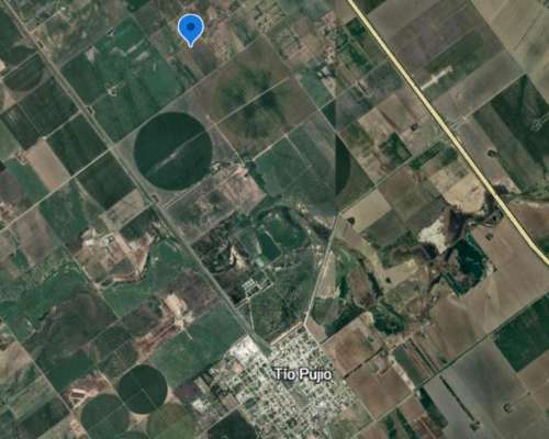 Alquilo 118 Has. Agricolas, Zona TIO Pujio (córdoba)
