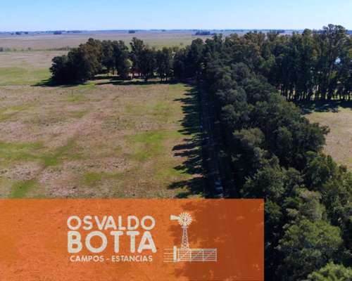 Campo en Venta 393has Mercedes, Buenos Aires