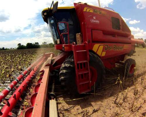 Don Roque 125e Electro